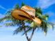 An easy story for beginning ESL students called The Hat and the Tum Tum Tree
