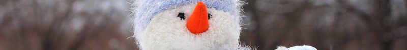 A reading comprehension quiz with answers for a Basic ESL short story called The Snowman