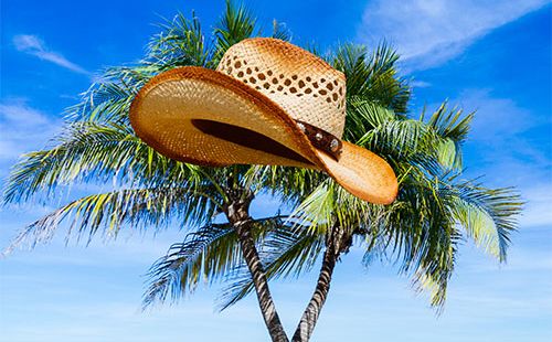 An easy story for beginning ESL students called The Hat and the Tum Tum Tree