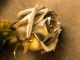 King Midas and the Golden Touch Greek Myth Short Story Intermediate English Reading Language Avenue