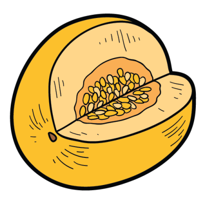 Intermediate English Vocabulary Fruit Pictionary Melon