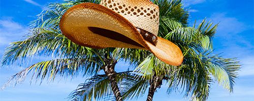 An easy story for beginning ESL students called The Hat and the Tum Tum Tree