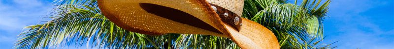 A reading comprehension quiz with answers for a Basic ESL short story called The Hat and the Tum Tum Tree