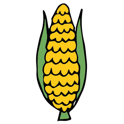 Intermediate English Vocabulary Vegetables Pictionary Corn