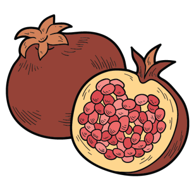 Intermediate English Vocabulary Fruit Pictionary Pomegranate