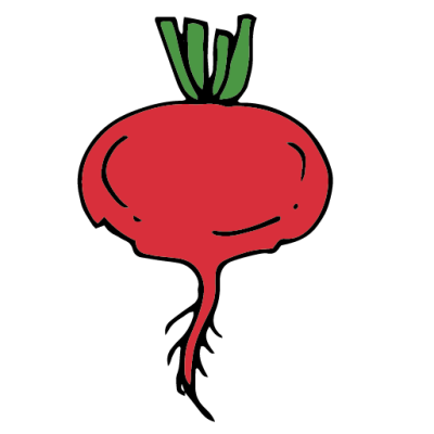 Intermediate English Vocabulary Vegetables Pictionary Beetroot