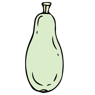 Intermediate English Vocabulary Vegetables Pictionary Squash