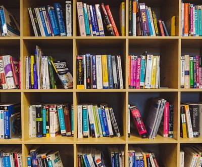 Books on the shelves for Advanced English Reading class