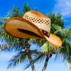 A reading comprehension quiz with answers for a Basic ESL short story called The Hat and the Tum Tum Tree