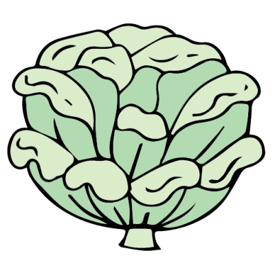 Intermediate English Vocabulary Vegetables Pictionary Cabbage