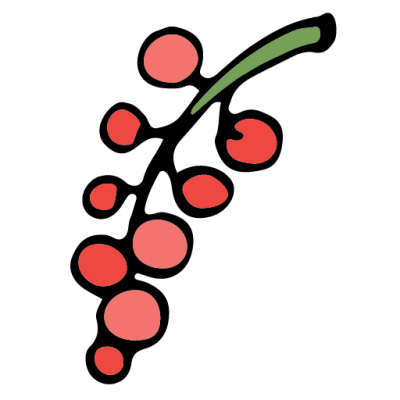 Intermediate English Vocabulary Fruit Pictionary Red Currant